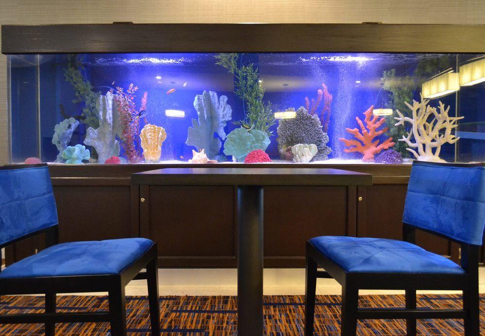 คอร์ตยาร์ด เคป คอด ไฮยานนิส Hotel ภายนอก รูปภาพ